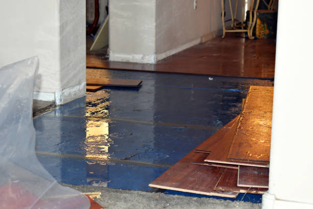 Professional Emergency Water Damage Restoration technician working in Phippsburg, ME
